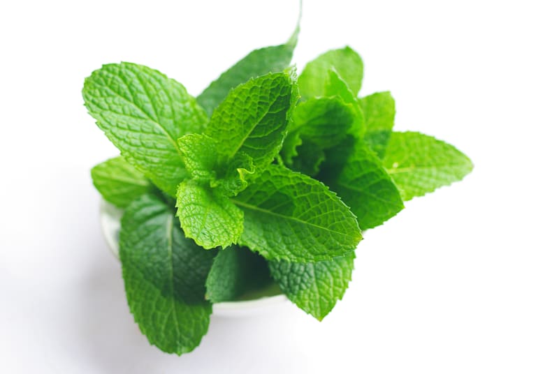 Spearmint