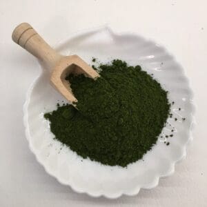 image of chlorella
