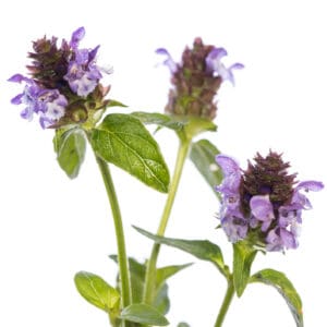 Self Heal Hydrolat
