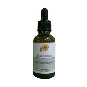 Flower Essence - Rodent Support